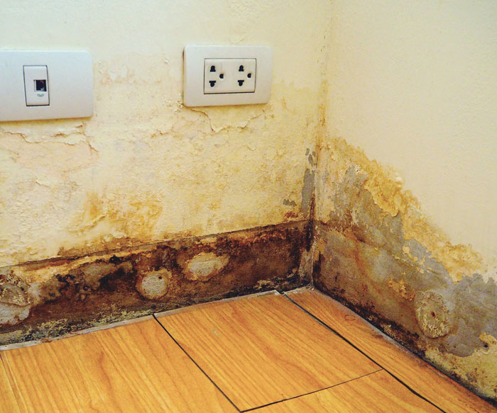 Water Damage Electrical Malfunction Restorations