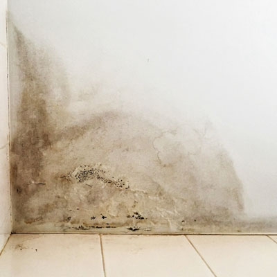 Commercial Water Mold Damage Repairs