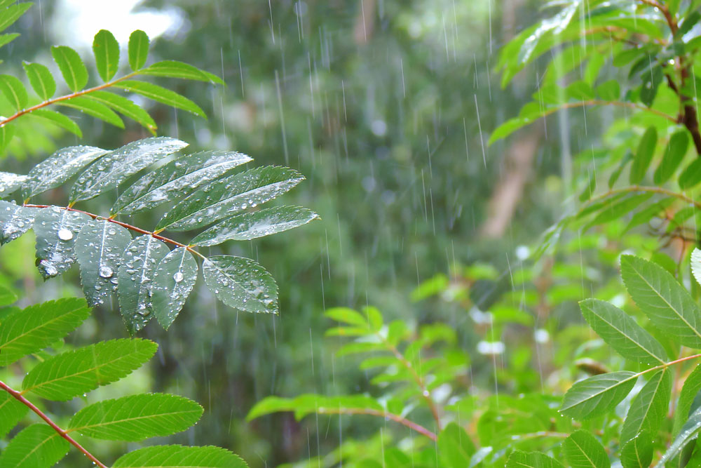 humid-meaning-in-hindi-humid-ka-matlab-kya-hota-hai-word-meaning