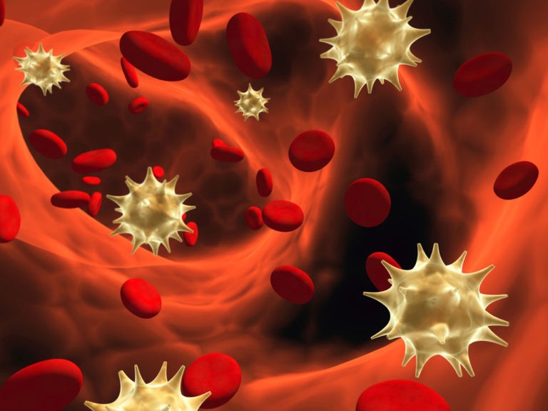 How Are Blood Borne Pathogens Spread: A Detailed Study - Nationwide ...