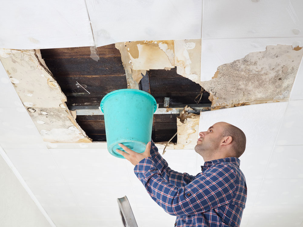 does-homeowners-insurance-cover-water-damage-dg-m-agency