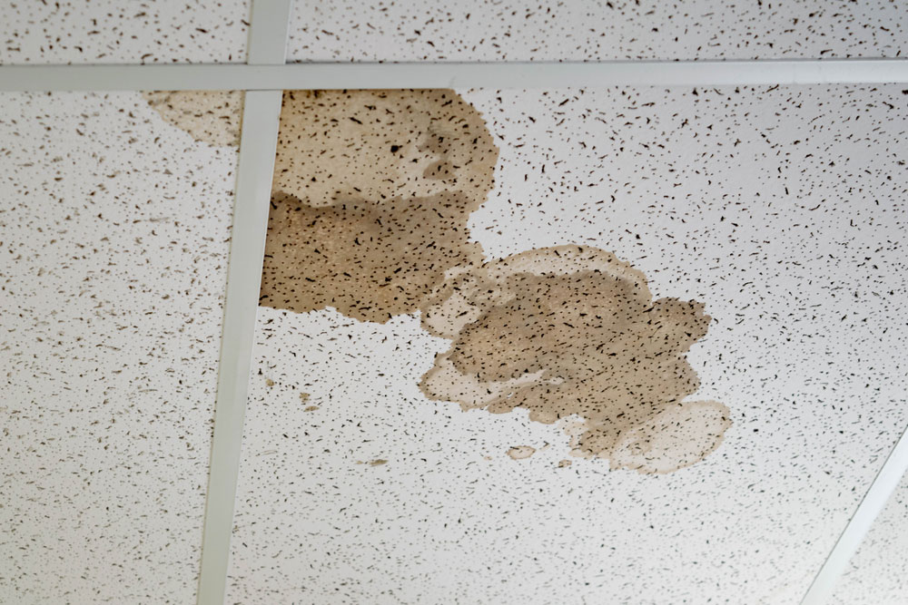 stain ceiling water stains tile causes different removal does apr slique