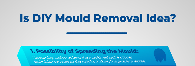 Mould Removal Idea